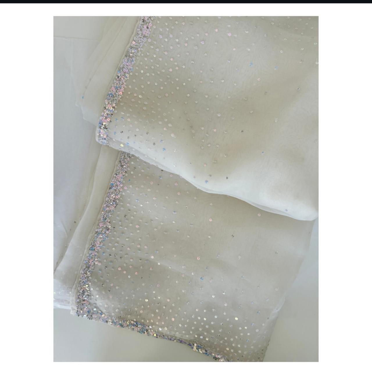 Snowfall Shimmer Organza Saree