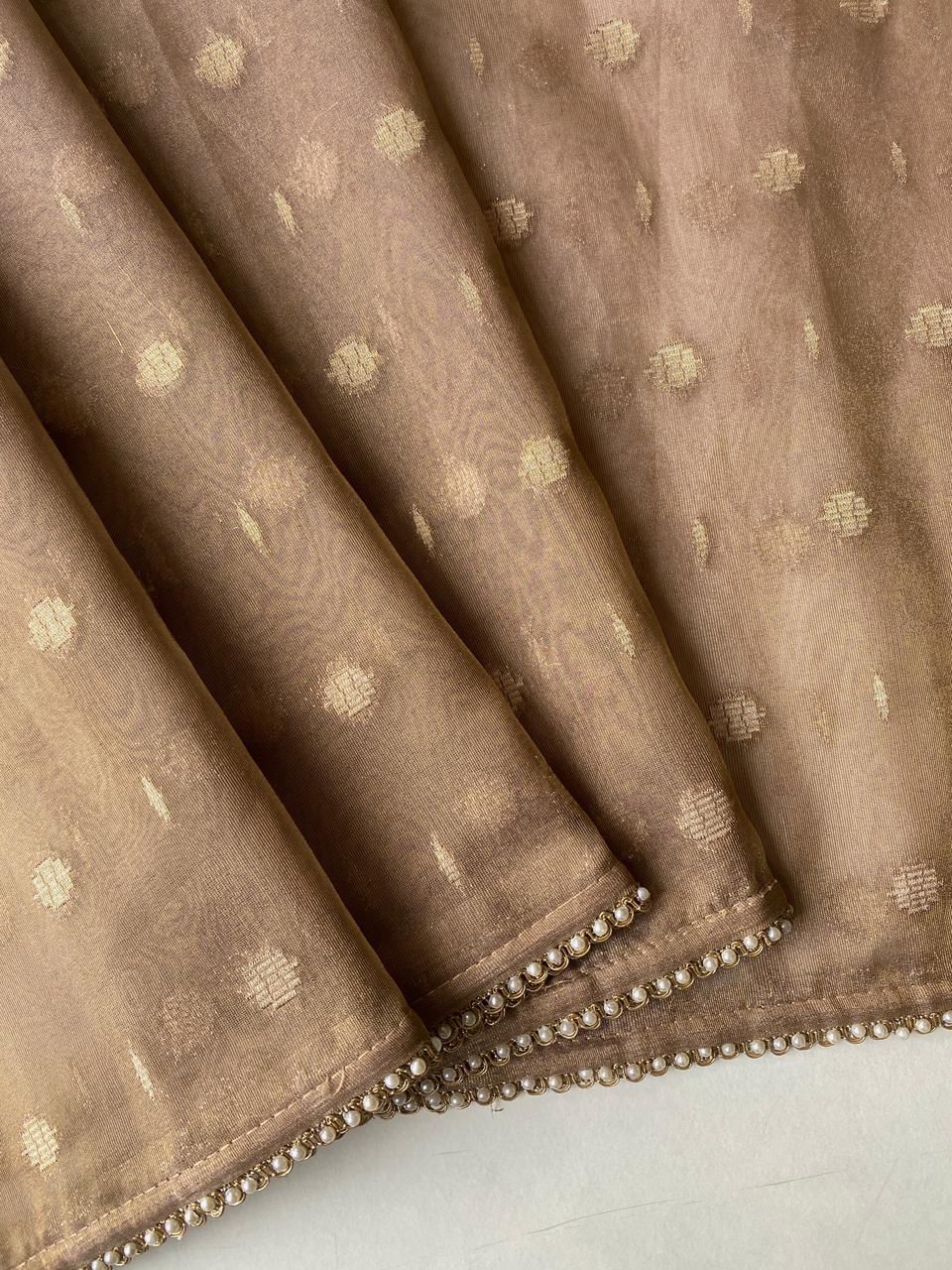 Tissue organza saree