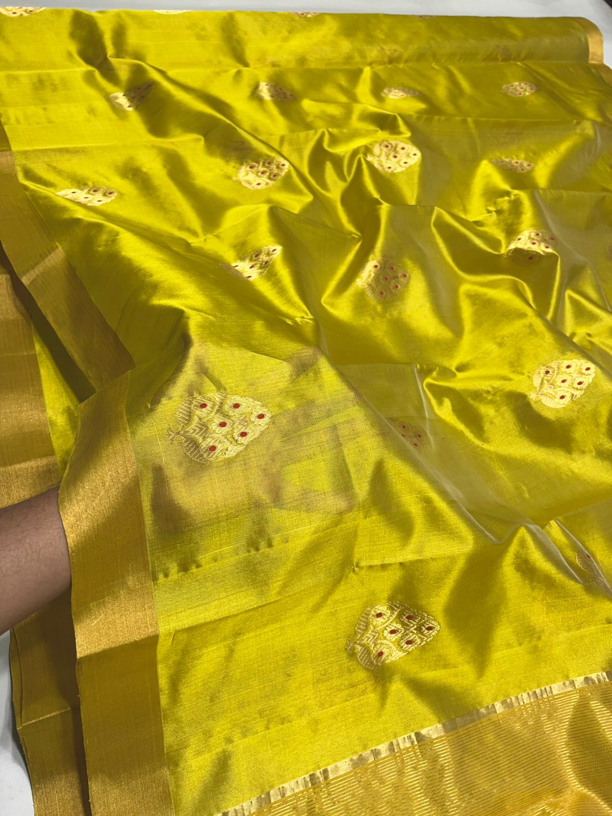 Saanjh Silk