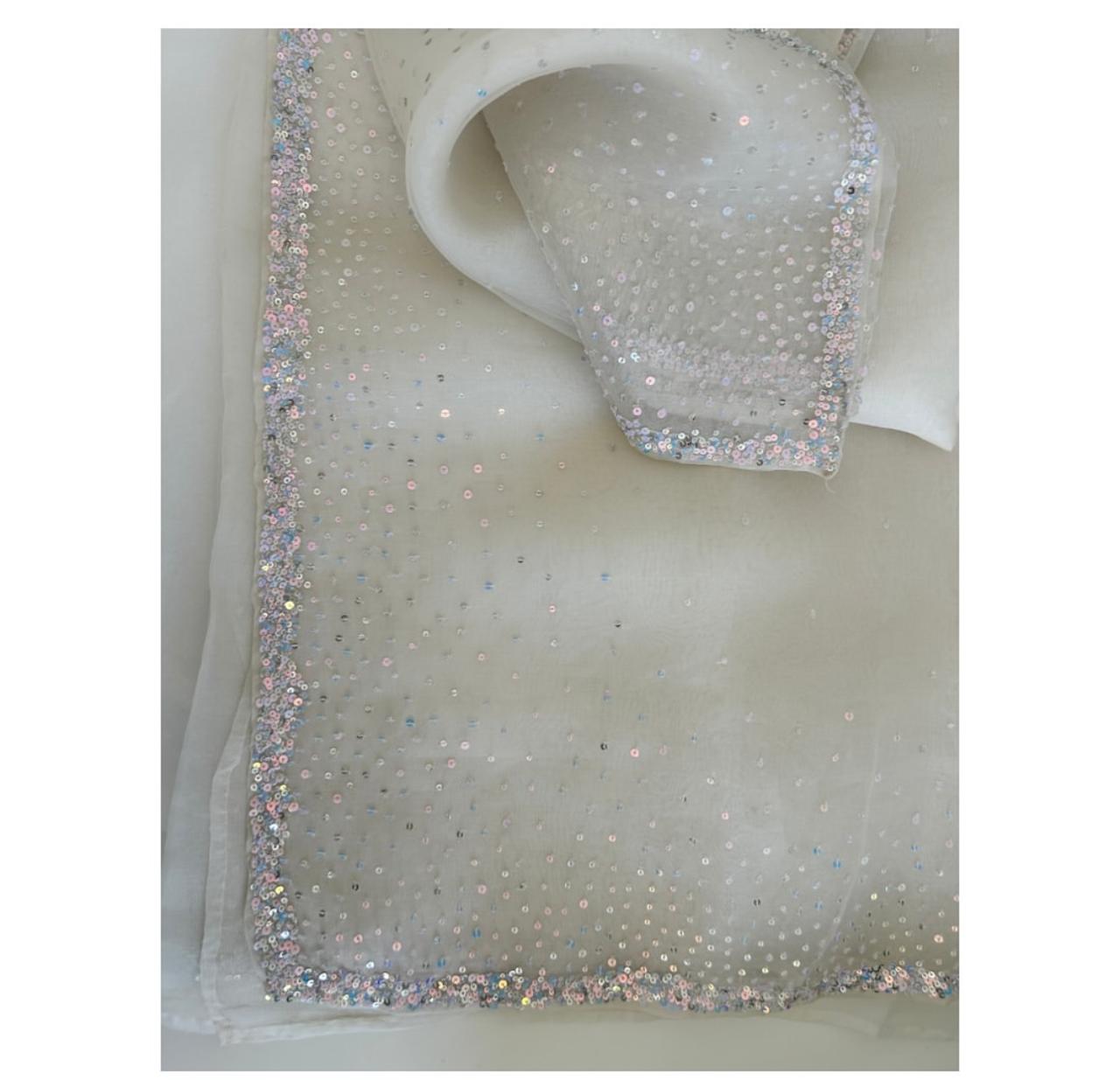 Snowfall Shimmer Organza Saree