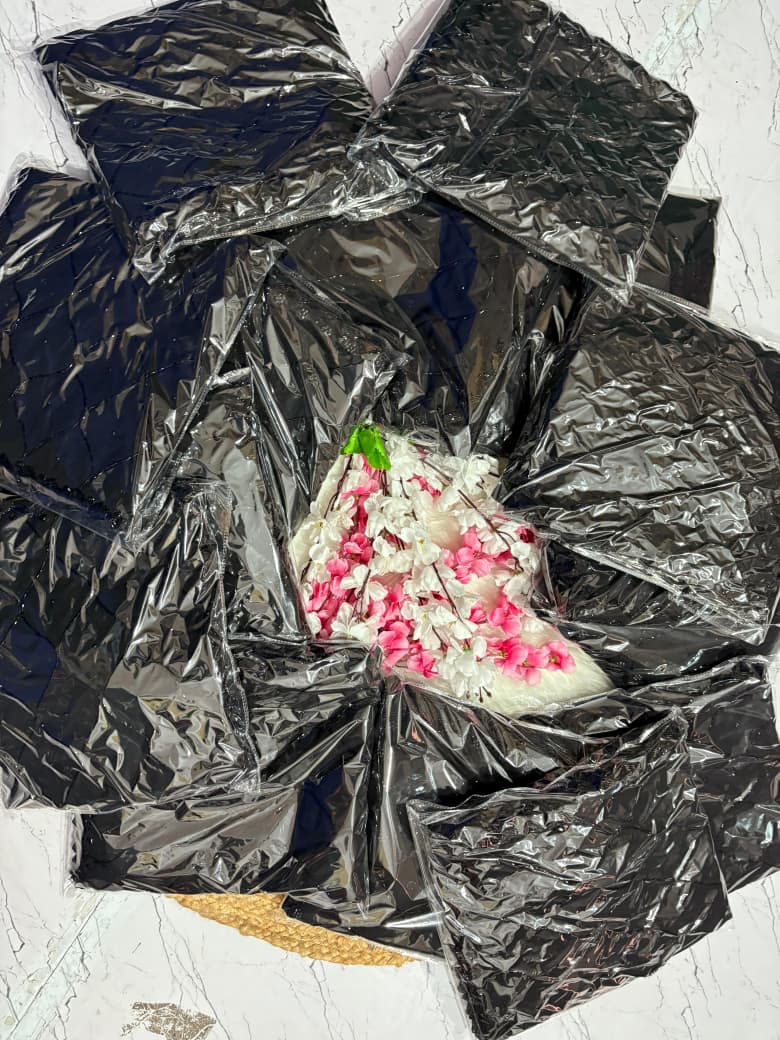 Eclipse Black-on-Black Designer Saree